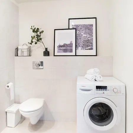 Apartmán Raven Mieszczanska *