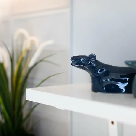 Raven Mieszczanska Apartmán *